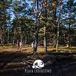 Plaja