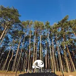 Nyaraló Plaja