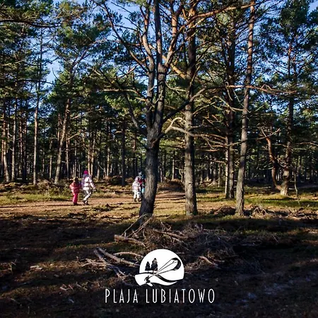 Plaja